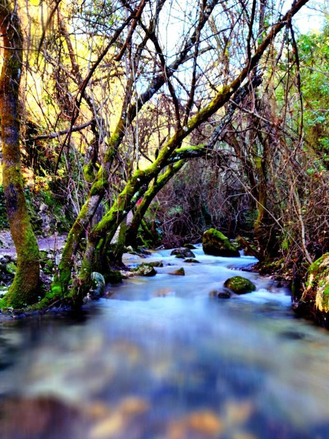 La Casa Del Naturalista El Bosque Eksteriør bilde