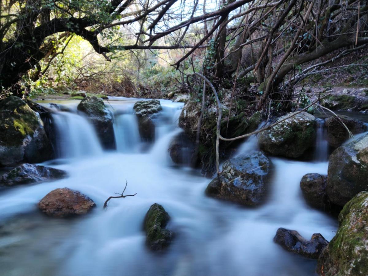 La Casa Del Naturalista El Bosque Eksteriør bilde